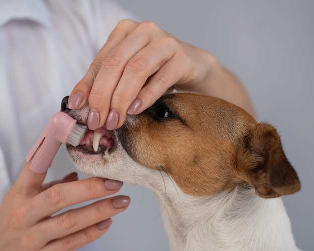 Dosage Guidelines for Dogs