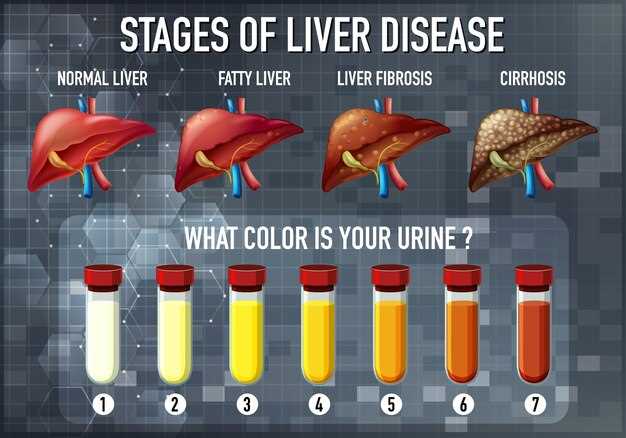 Effects of High Gastrin Levels: