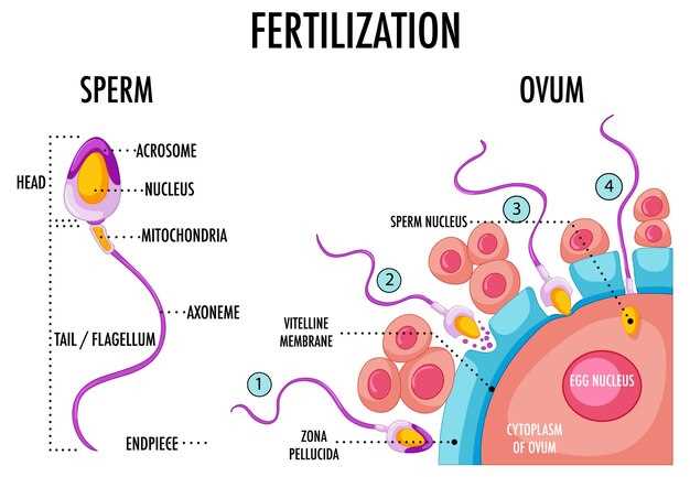 Future of Omeprazole Receptors