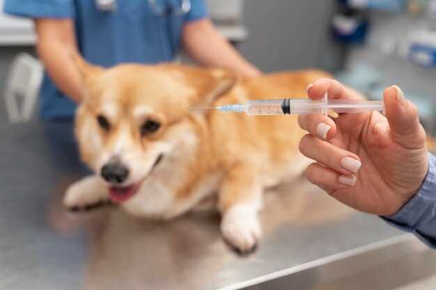 Esomeprazole dosage for dogs