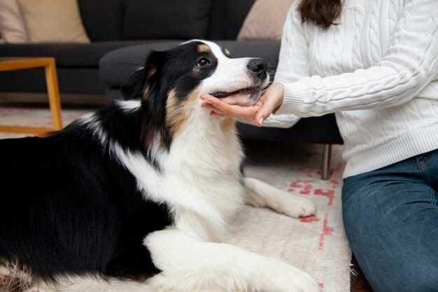 Is omeprazole bad for dogs