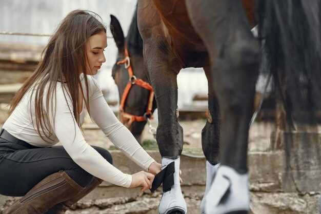 Omeprazole side effects in horses