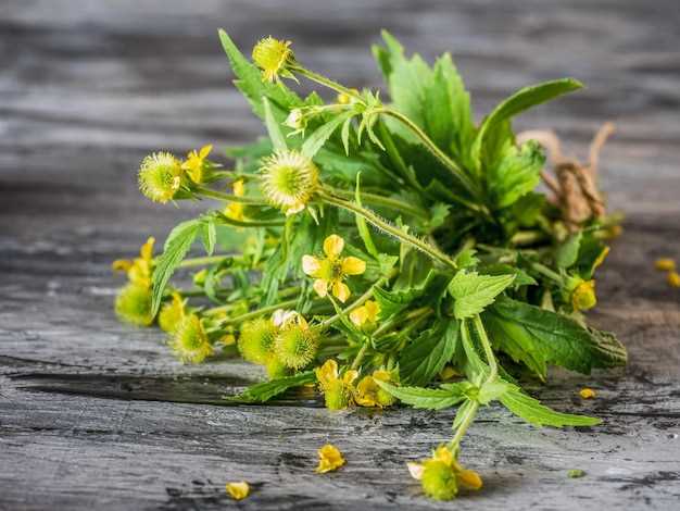 St john’s wort and omeprazole