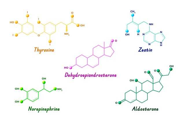 Synthetic scheme of omeprazole
