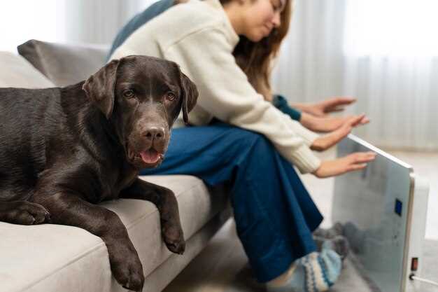 What is omeprazole for dogs